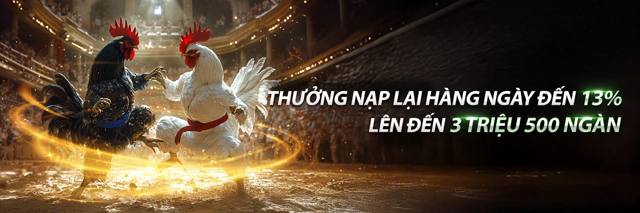Hình ảnh chính về hi8823 đá gà, thể hiện sự sôi động của cá cược trực tuyến